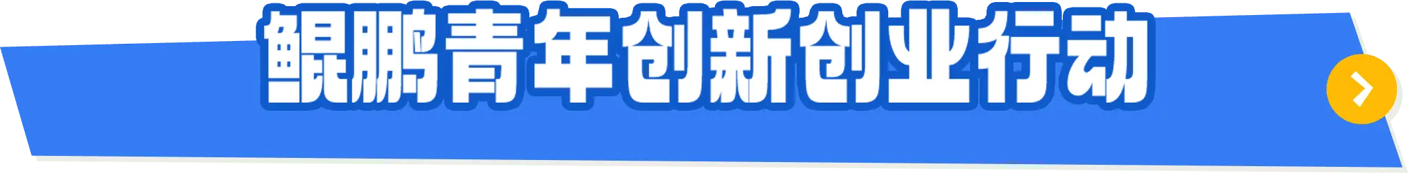 鲲鹏计划