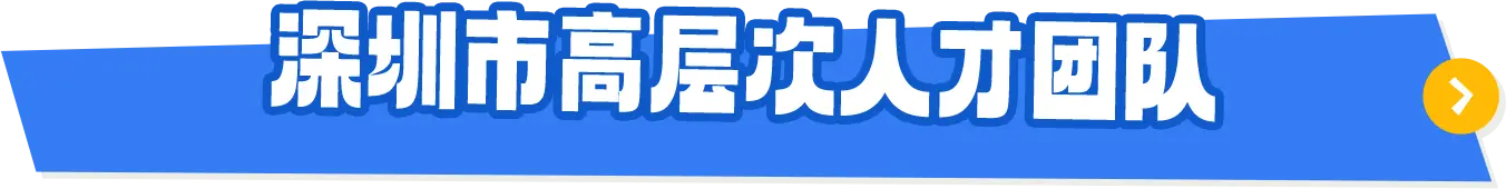 高层次团队
